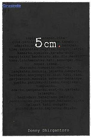 5 cm